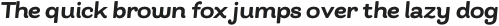 Bakewell Heavy Wide Italic otf (800)