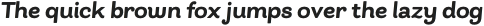 Bakewell Heavy Semi-Wide Italic otf (800)