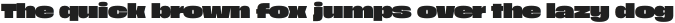 Raglot Regular otf (400)