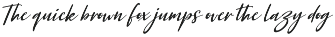 Font Collection Bundle preview