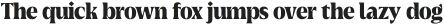 Griggs Variable Black Serif ttf (900)