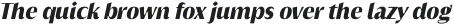 Griggs Black Sans Slnt otf (900)