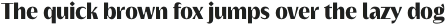 Griggs Black Sans otf (900)