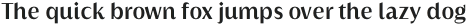 Griggs SemiBold Sans Gr Ss02 otf (600)