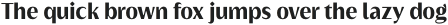 Griggs Bold Sans Gr otf (700)