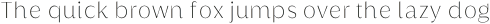 Griggs Thin Sans Ss02 otf (100)