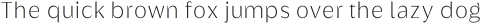 Griggs Thin Sans Gr otf (100)