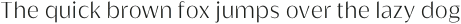 Griggs Light Sans Ss01 otf (300)