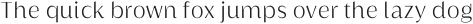 Griggs Light Sans Ss02 otf (300)