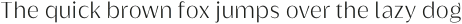 Griggs Light Sans otf (300)