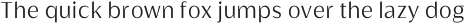 Griggs Light Sans Gr Ss01 otf (300)