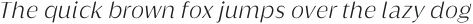 Griggs Light Sans Slnt otf (300)