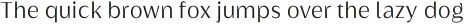 Griggs Light Sans Gr otf (300)