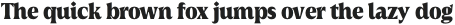 Griggs Black Serif Gr Ss02 otf (900)