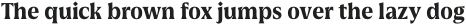 Griggs Bold Serif Gr Ss01 otf (700)
