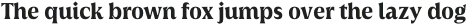 Griggs Bold Serif Gr Ss02 otf (700)