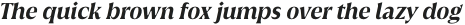 Griggs Bold Serif Slnt otf (700)