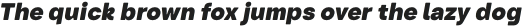 Turnkey Soft Heavy Italic otf (800)