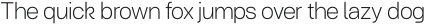 Turnkey Soft Extra Light otf (200)