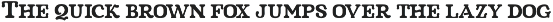 Niraloka - Serif Vintage Display preview