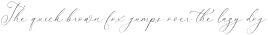 Senorytta Italic otf (400)