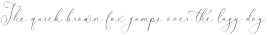 Senorytta otf (400)