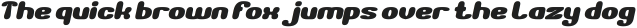 CHEESE BURGER Bold Italic otf (700)