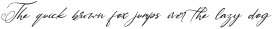 Mariosa Italic otf (400)