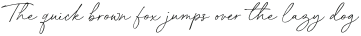 Paris Signature Regular otf (400)