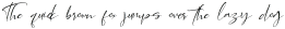 Alleffra-Italic otf (400)
