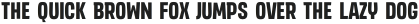EMINOR Medium otf (500)