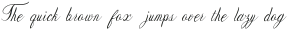 Netnite otf (400)