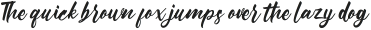 Rollasan otf (400)