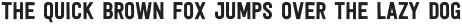 Festivo Letters No6 Regular otf (400)