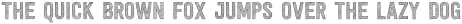 Festivo Letters No7 Regular otf (400)