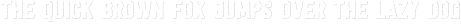 Festivo Letters No12 Regular otf (400)