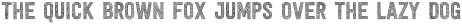 Festivo Letters No5 Regular otf (400)