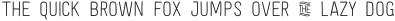 Festivo Letters No18 Regular otf (400)