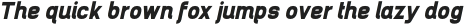 Brainy Black Expanded Italic otf (900)