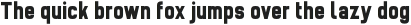 Brainy Heavy Condensed otf (800)