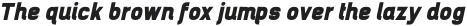 Brainy Extra Black Semi Exp Italic otf (900) Sample