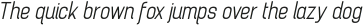 Brainy Light Italic otf (300)