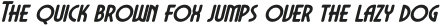 DECHOR ROTHEN Italic otf (400)