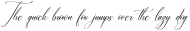Blacksttam Italic otf (900)