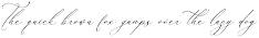 Balleryna Charlote Calligraphy Font preview