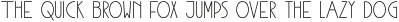 Shoal Medium otf (500)