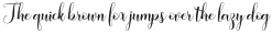 Amberland Script Regular otf (400)