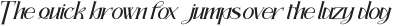 Endlightment otf (300)