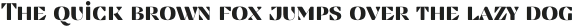 Findel Display otf (400)