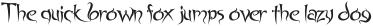 Spyced otf (400)